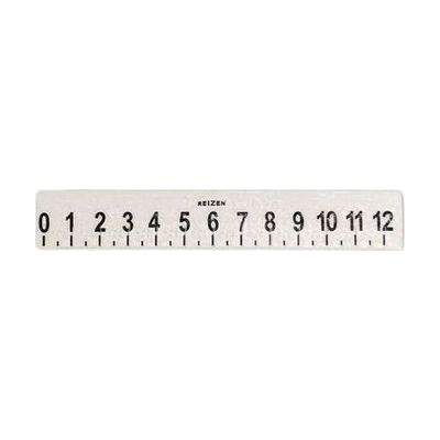Tactile Braille Ruler