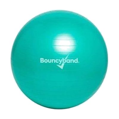 Weighted Balance Ball (Adult) 9070