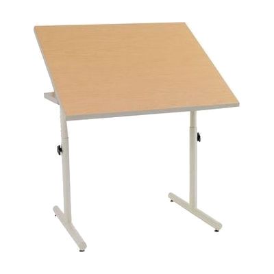 Wheelchair Accessible Table-Adjustable Height-Tilt
