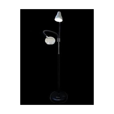 image: big eye floor lamp, 2 arms