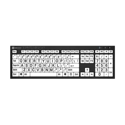 Image: large print keyboard with Braille, black on white keys