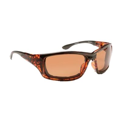 DryEye Sunglasses, Large