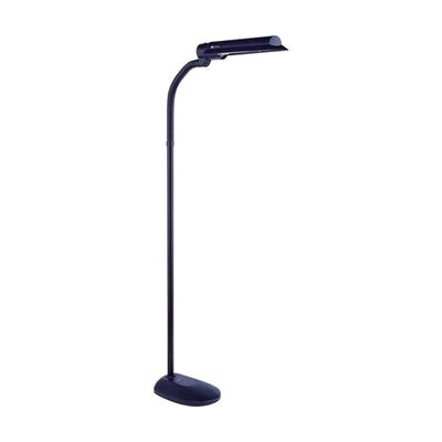 OTT-Lite Black Floor Lamp