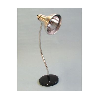Desk Model Reading Lamp