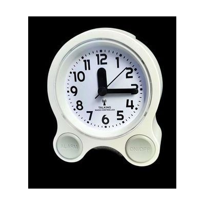 Image: talking atomic clock