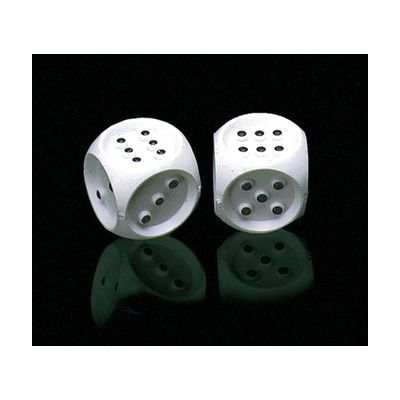 Brailled Dice - Set of 2 Dice