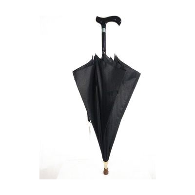 Rain Cane