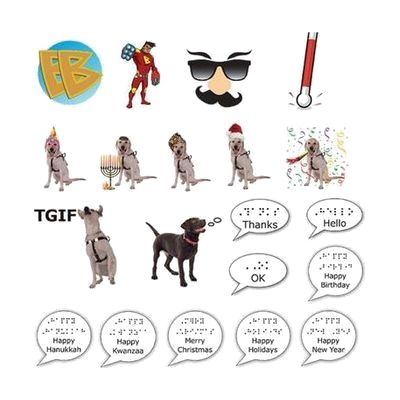 Braille Badges