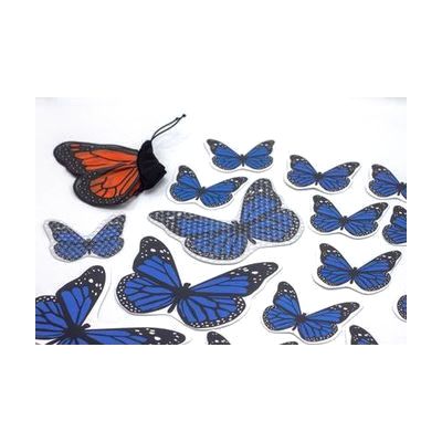 Close-up of large and small butterflies, one large and one small with tactile overlay. Butterfly finger puppet also included.