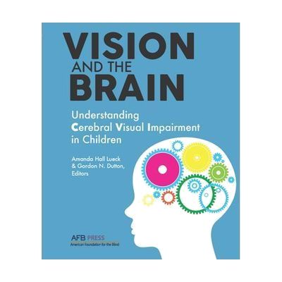 Vision and the Brain book cover