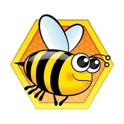 BrailleBuzz app icon: a cartoon bee in front of a hexagon outlined in yellow with an orange honeycomb pattern in the middle.