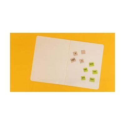 The WRS-IV magnetic journal opened to show a variety of magnetic tiles in peach and lime green. Each tile has both large print and braille text.