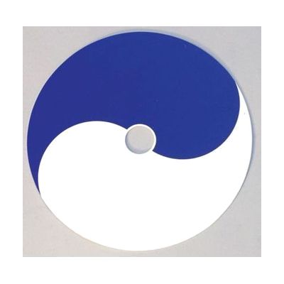 Yin Yang Overlay from Fine Motor Development Materials kit