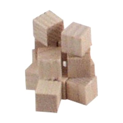 FOCUS in Mathematics: Pack F, Wooden Cubes