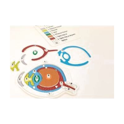 The My Sight eye anatomy puzzle with some of the pieces arranged above the puzzle and the puzzle key out of focus in the top right corner, all on a white background.