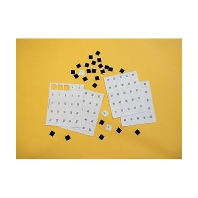 Hundred Board and Manipulatives: sheets with numbers