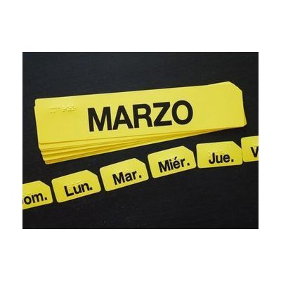 Classroom Calendar Kit months in portuguese