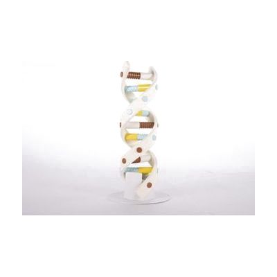 DNA Twist