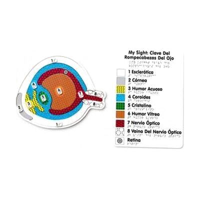 A colorful tactile puzzle diagram of an eye next to the My Sight Spanish tactile key that assigns each texture from the puzzle with a braille and large print label.