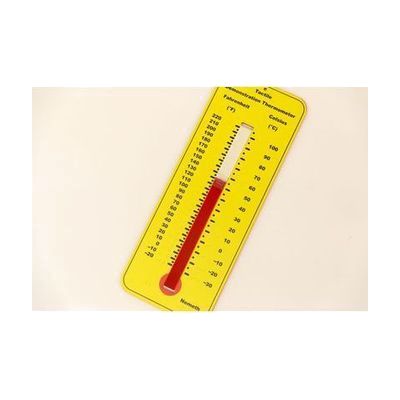 Flat rectangular thermometer with raised tactile temperature markings on both Celsius and Fahrenheit scales, with braille lab