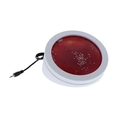 Light-Up Gel Switch 7452.3D.2025
